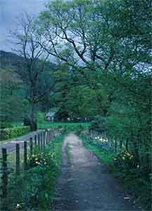 Path